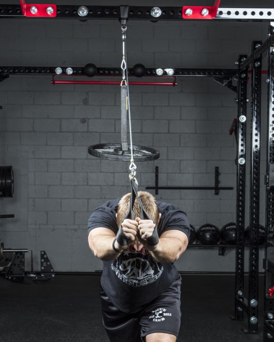Rogue rack pulley system cheap